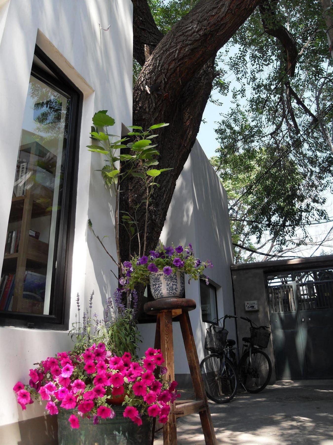 Beijing Wohkoon Hostel-Nan Luo Gu Xiang Branch エクステリア 写真