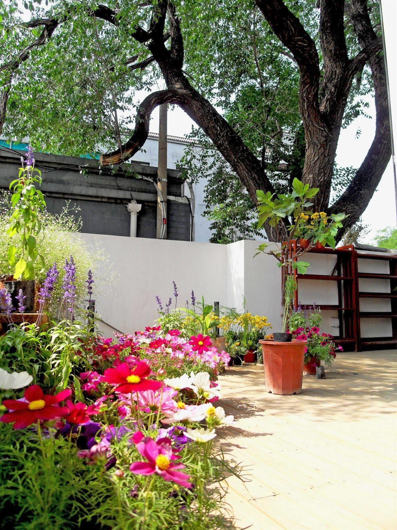 Beijing Wohkoon Hostel-Nan Luo Gu Xiang Branch エクステリア 写真